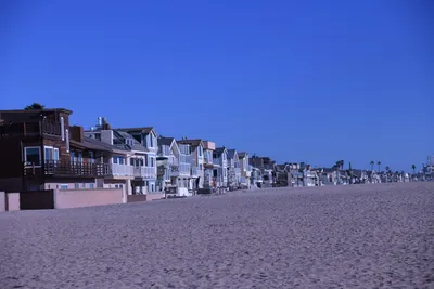 DSC_0842 (Large).JPG